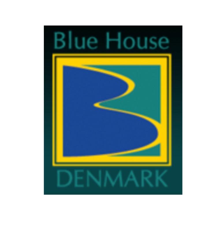 Blue House Denmark Villa Buitenkant foto